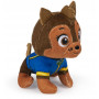 Paw Patrol Mini Plush Asst