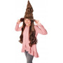 Harry Potter Sorting Hat