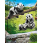 Playmobil - Pandas with Cub