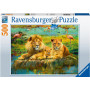 Rburg - Lions in the Savannah Puzzle 500pc