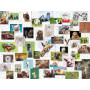 Rburg - Funny Animals Puzzle 1500pc