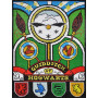 HARRY POTTER QUIDDITCH