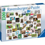 Rburg - Funny Animals Puzzle 1500pc