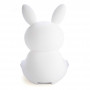 Silicone Touch Led Lamp Bunny
