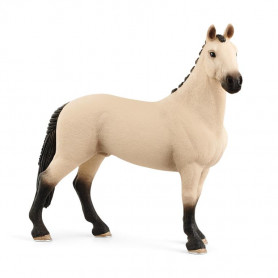 Hannoverian Gelding, Red Dun
