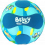Bluey Soccer Ball