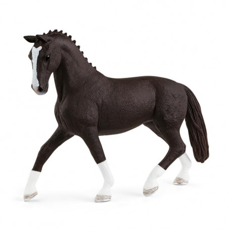 Hannoverian Mare, Black