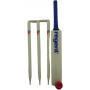 Regent Terry Armour Wooded Cricket Set Size 5