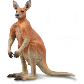 RED KANGAROO - MALE (L)