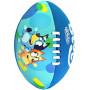 Bluey Footy