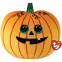 Squish A Boo 10 Seeds Pumpkin Halloween