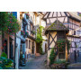 Rburg - French Moments in Alsace 1000pc