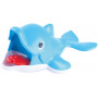 SWIM AND CATCH DOLPHIN