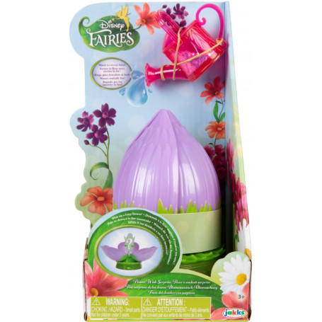 Disney Fairies Wish Surprise