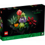 tbd-Icon-MDP1-2022 10309