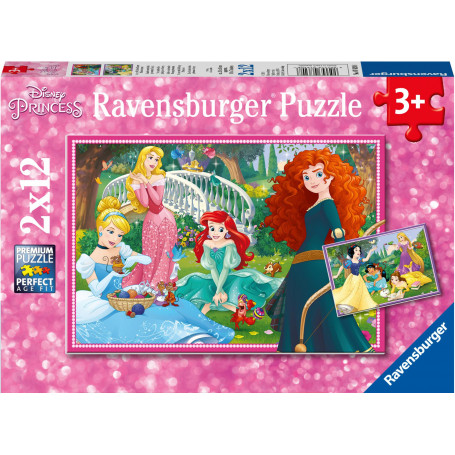 Rburg - Disney in the World of Princes 2x12pc