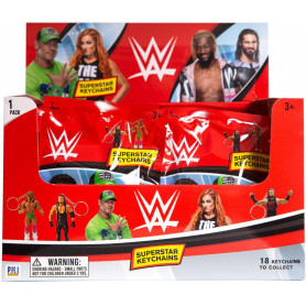 WWE 3D Figure Keychain Foil Bag