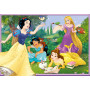 Rburg - Disney in the World of Princes 2x12pc