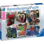 Rburg - NYC Flower Flash Puzzle 1000pc
