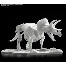 DINOSAUR MODEL KIT LIMEX SKELETON Triceratops