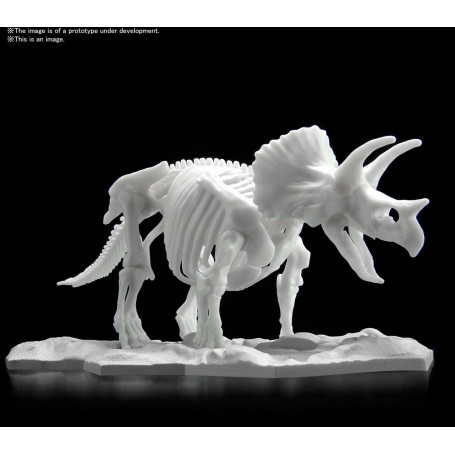 DINOSAUR MODEL KIT LIMEX SKELETON Triceratops