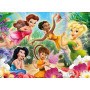 Rburg - Disney My Fairies 100pc