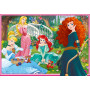 Rburg - Disney in the World of Princes 2x12pc