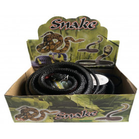 Red-Bellied Black Snake