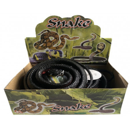 Red-Bellied Black Snake