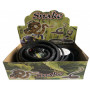 Red-Bellied Black Snake