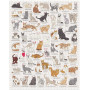 Ridleys Cat Lover's 1000 Piece Jigsaw Puzzle