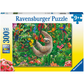 Rburg - Slow-mo Slo Puzzle 300pc