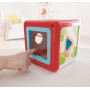Hape - Shape Sorting Box