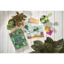 House of Plants - The Card Game