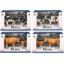 Twin Cow Set 4 Styles Assorted (D24)