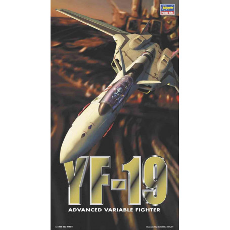 1/72  YF-19