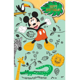 MICKEY & MINNIE & FRIENDS CARD PREMIUM