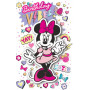 MICKEY & MINNIE & FRIENDS CARD PREMIUM
