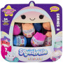 a10 mrtoys Squishmallows Mystery Mini Plush Assortment