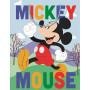 FSC MIX BAG MED MICKEY NATURE