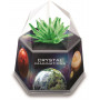 4M - Crystal Growing Kit - Space Gem - Green