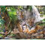 Super 3D 100pc - Tiger Falls
