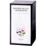Raindrop Galileo Thermometer