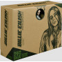 Billie Eilish 6" Figure Assorted