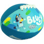 Bluey Mini Footy