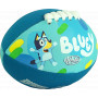 Bluey Mini Footy