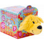Flipazoo - Flip Box Surprise x 6 designs