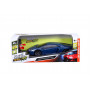 Maisto Tech 1:24 R/C Car Assortment 12 pce