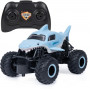 Monster Jam 1:24 RC Assortment