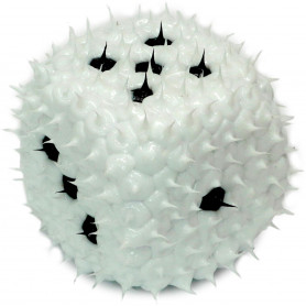 DROP DOT DICE
